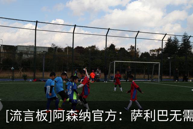 [流言板]阿森纳官方：萨利巴无需接受背部手术，预计将休养较长时间